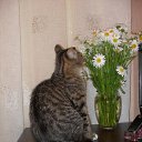 ���� Dima, �����-���������, 22 ���� - ��������� 20 ������� 2014 � ������ ������ ��������