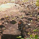 ���� Dreamcatcher, ����� - ��������� 5 ������ 2013 � ������ ����))�