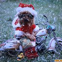 ���� �����, �������, 42 ���� - ��������� 4 ������� 2013 � ������ ���� ����������