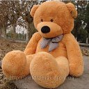 ���� �@�@, ������ - ��������� 3 ������� 2013 � ������ ���� ����������