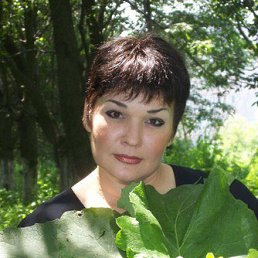 �����, �����������