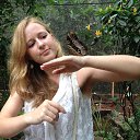 ���� ����, � �������� 2013�. �� ������� ���� ����������