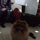 ���� Illumination, ������ - ��������� 8 ������� 2013 � ������ ���� ����������