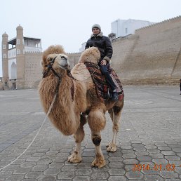  Sherzod, , 47  -  23  2014