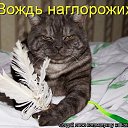 ���� ���, ������, 23 ���� - ��������� 30 ������ 2013 � ������ ���� ����������