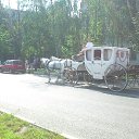 ���� ���������, ���������������, 61 ��� - ��������� 27 ������ 2014 � ������ ������