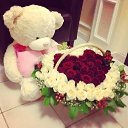 ���� �������, ���������, 42 ���� - ��������� 14 ������� 2014 � ������ ���� ����������