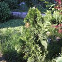 ���� �������, �������� - ��������� 17 ������ 2014 � ������ ������ ��������