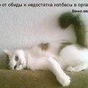 ���� �����, ������������� - ��������� 13 ����� 2014