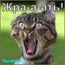 ���� _����������_, ������, 35 ��� - ��������� 30 ������� 2013 � ������ ���� ����������