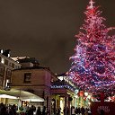 ���� �����, �������������� - ��������� 9 ������ 2014 � ������ ���� ����������