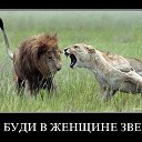 ���� ����, �����-��������� - ��������� 2 ������ 2013 � ������ �������