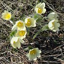 ����� �� ������� ������ ����� ���� �� ������� ���� ����������