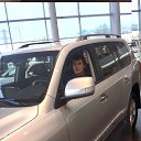 ���� �����, �������������, 33 ���� - ��������� 18 ������� 2013 � ������ ���� ����������