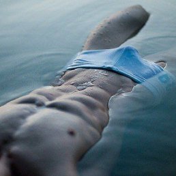 ���� ������, ������, 43 ���� - ��������� 5 ������� 2014