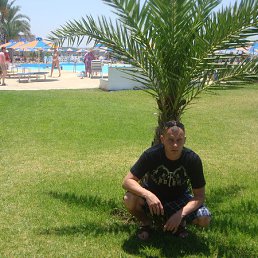 ������, ������, 41 ���