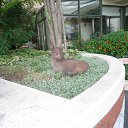 ���� ��, ������, 33 ���� - ��������� 23 ������� 2013 � ������ ���� ����������