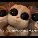  ,  -  28  2014    