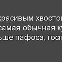 ���� ����, ������, 48 ��� - ��������� 18 �������� 2013 � ������ ���� ����������