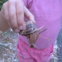 ���� Sergei, ����������� - ��������� 4 ������� 2014 � ������ ������ ��������