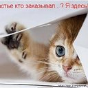 ���� ���������, ������, 38 ��� - ��������� 2 ����� 2014 � ������ ������ ��������