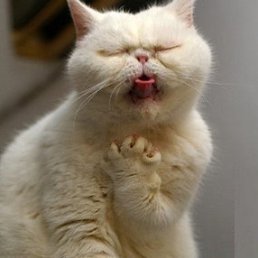 ����, ������, 85 ���