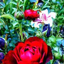 ���� ������� �., ����� - ��������� 5 ������� 2013 � ������ �������