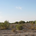 ���� �����, �������, 68 ��� - ��������� 29 ������ 2013 � ������ ����� ��������