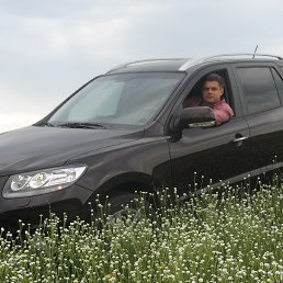 ��������, ��������, 56 ���