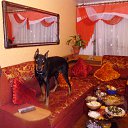 ���� ������, ���������, 60 ��� - ��������� 12 ������ 2014 � ������ ���� ����������