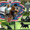 ���� �����, ������ �����, 54 ���� - ��������� 10 ������ 2013 � ������ ���� ����������