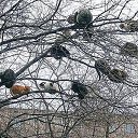 ���� Irmin, ������� - ��������� 6 ����� 2014 � ������ ������ ��������