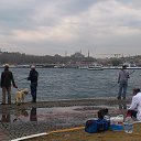 ���� Xacco, ������, 54 ���� - ��������� 18 ������� 2013 � ������ �%%%%�