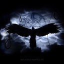  Crow, , 35  -  13  2013    