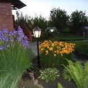 ���� ���������, ���������, 66 ��� - ��������� 13 ������� 2013 � ������ ���� ����