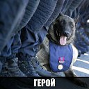 ���� ���, ������ - ��������� 18 ������� 2013 � ������ ���������