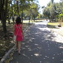 ���� ���� �� ������� ����� ��� ������������