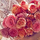 ���� N, ���������, 68 ��� - ��������� 19 ������ 2013 � ������ ���� ����������