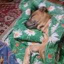 ���� Igor, �����������, 58 ��� - ��������� 20 ������� 2013 � ������ ���� ����������