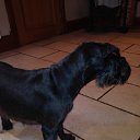 Lola's Mummy �� ������� ���� ����������
