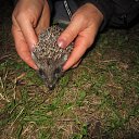 ���� ������� -------, ����������� - ��������� 7 ������� 2014 � ������ �������