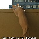 ���� �����, ������� - ��������� 8 ������� 2013 � ������ ������� ���� �������)))�