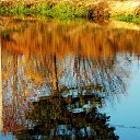 ���� �����, �����, 64 ���� - ��������� 30 ������ 2013 � ������ ��Ψ�