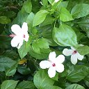 ���� ���, ������, 49 ��� - ��������� 13 ������� 2014 � ������ ������� �� ���