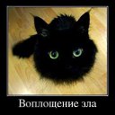 ���� ����, �����, 42 ���� - ��������� 18 ������� 2013 � ������ ���� ����������