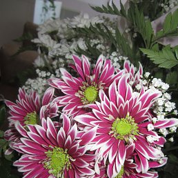  Galina, , 57  -  11  2013
