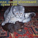 ���� ����, ������, 53 ���� - ��������� 24 ������ 2014 � ������ ���� ����������