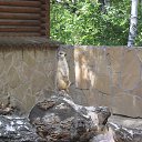 ���� �����, �����������, 56 ��� - ��������� 25 ������� 2013 � ������ �� ������� ��� ����� ���