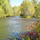 ���� ������, ������, 52 ���� - ��������� 6 ������� 2013 � ������ ���� ����������