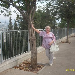 �. �����, �������.